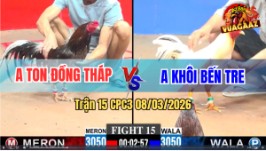 Trận 15 CPC3 8/3/2026 - Xám Dí Bạc Ăn 5 Buông Ra Bướm Đá Mấy Chân Chạy Bung Bồ