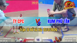 Trận 15 Bồ Xà Xía 15/3/2026 - Khét Vô Dàn Nạp Nóng Lạnh Buông Ra Bướm Khủng Hoảng Bỏ Chạy