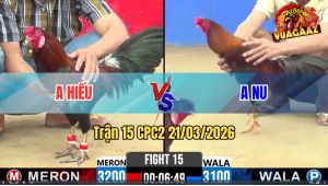 Trận 15 Bồ CPC2 21/3/3026 - Điều Xanh Tích Tang Đá Nhét Cây Đâm Xanh Lọt Té Rinh Ra