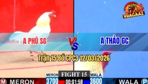 Trận 15 Bồ CPC3 12/3/2026 - Cú Siết Mấy Chân Đâm Bướm Gãy Dò