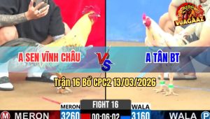Trận 16 Bồ CPC2 13/3/2026 - Chuối Giao Nạp Quá Hay Bướm Ói Ngay Tại Chỗ
