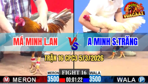 Trận 16 Bồ CPC3 5/3/2026 - Khét Đá Bạc Ăn 5 Buông Ra Bướm Đá Xỉu Tuyệt Đối