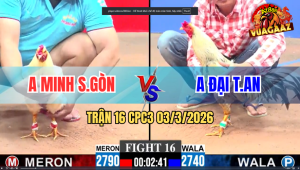 Trận 16 CPC3 03/3/2026 - Bướm Đá Chân Nào Cũng Đâm Chuối Hư Hình Xỉu Trên Tay