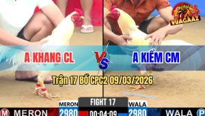 Trận 17 Bồ CPC2 9/3/2026 - Đỏ Khôn Khéo Đâm Xanh Cây Lọt Bỏ Chạy