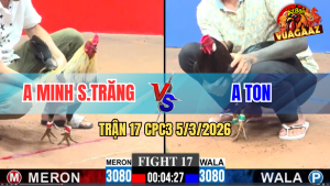 Trận 17 Bồ CPC3 5/3/2026 - Xanh Canh Chặn Khôn Khéo Đâm Đỏ Té Hết Sửa