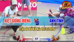 Trận 17 Bồ Xà Xía 15/3/2026 - Khét Cọp Nhẹ Gần 6 Chấm Đá Gà Điều Khủng Hoảng Tốc Chạy