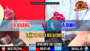 Trận 18 CPC3 03/3/2026 - Điều Đá Que lấy Tiền Mua Xe