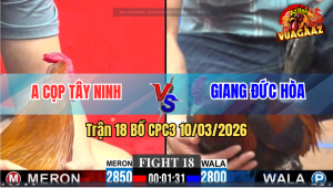 Trận 18 Bồ CPC3 10/3/2026 - Đỏ Có Chân Nghiệt Đâm Phản Xanh Về Bờ Thành Công