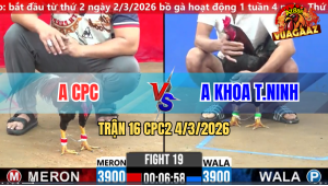 Trận 19 Bồ CPC2 4/3/2026 - Điều Nhấp Nhả Mấy Chân Đâm Que Cứng Cứng Mình Chạy