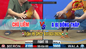 Trận 19 CPC 2 7/3/2026 - Đỏ Có Chân Nghiệt Đâm Xanh Hết Cứu
