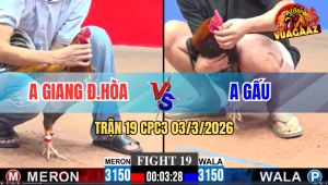 Trận 19 CPC3 03/3/2026 - Xám Canh Chặn Đâm Điều Xỉu Tuyệt Đối Trong Kiếng