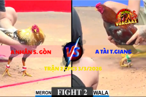 TRẬN 2 CPC3 3/3/2026 - Điều Đá Mấy Chân Đâm Cú Té Tuyệt Đối