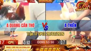 2 Con Gà Cùng 1 Mẹ Của Bảo Sting Gặp Nhau - Trận 17 Bồ CPC2 28/3/2026