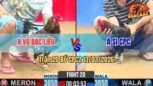 Trận 20 Bồ CPC2 13/3/2026 - Điều Đá Ăn 6 Xám Đá Như Con Xỉu Tuyệt Đối