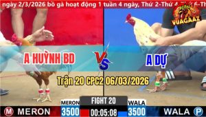 Trận 20 Bồ CPC2 6/3/2026 - Bướm Nạp Siết Tốc Đọ Đâm Khét Như Cái Mền Xỉu Tại Ô