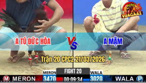 Trận 20 Bồ CPC2 21/3/3026 - Xanh Chấp Ngông Đỏ Đá Nằm Tại Chỗ