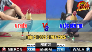 Trận 21 Bồ CPC2 21/3/3026 - Chuối Nhập Buông Ra Siết Mấy Chân Đâm Đỏ Hư Hình Tuyệt Đối