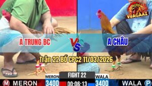 Trận 22 Bồ CPC2 11/3/2026 - Điều Nhập Vô Đâm 1 Cặp Ngực Khét Hư Hình
