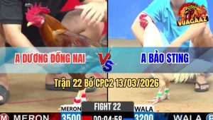 Trận 22 Bồ CPC2 13/3/2026 - Úa Canh Chặn Đâm Khét Gục Ngay Tay Nước Đầu Tiên