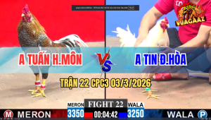 Trận 22 CPC3 03/3/2026 - Cú Đá Bướm Sụm Tì Bướm Gồng Đá Lại Cú Té