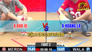 Trận 2 Bồ CPC2 26/3/2026 - Bướm Chưa Thả Đá Ăn 6 Buông Gà Uá Đá Như Con