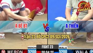 Trận 23 Bồ CPC2 9/3/2026 - Khét Đá Bướm Muốn Banh Bướm Đá Lại 1 Chân Té