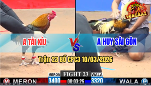 Trận 23 Bồ CPC3 10/3/2026 - Điều Đá Đúng 1 Chân Đâm Chuối Té Tại Chỗ
