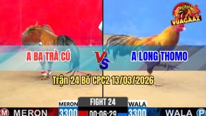 Trận 24 Bồ CPC2 13/3/2026 - Điều Đá Khét Muốn Xỉu Khét Gồng Đá Lại Điều Nằm