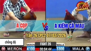 Trận 26 CPC2 7/3/2026 - Xanh Chơi Ngông Gặp Cọp Và Cái Kết