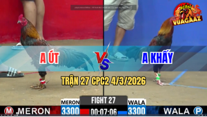 Trận 27 Bồ CPC2 4/3/2026 - Xanh Canh Chặn Đâm Đỏ Cây Nghiệt Lấy Tiền