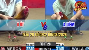 Trận 28 Bồ CPC2 9/3/2026 - Đỏ Siết Đúng 1 Tay Nước Xanh Ói Tại Chỗ