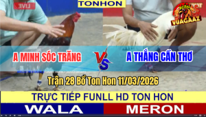 Trận 28 Bồ TonHon 11/3/2026 - Đương Kim Vô Địch Thuộc Về Minh Sóc Trăng