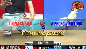 Trận 29 Bồ CPC2 13/3/2026 - Uá Giao Nạp Mấy Chân Đâm Cú Gãy Dò Thua Nhanh Gọn