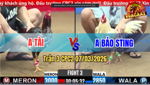 Trận 3 CPC 2 7/3/2026 - Xám Quá Trâu Gồng Phút Cuối Hạ Bướm Idol