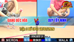 Trận 3 Bồ CPC3 14/3/2025 - Đỏ Đá Xanh Xuống Còn Ăn 1 Xanh Gồng Phản Quá Hay