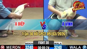 Trận 30 Bồ CPC2 9/3/2026 - 2 Bướm Đá Nhau Xanh Đá Lọt Cây Đỏ Ói Bỏ Chạy