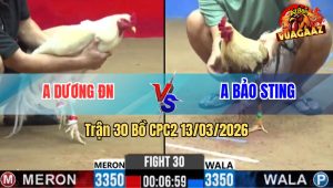 Trận 30 Bồ CPC2 13/3/2026 - Tài Nghệ Anh Bảo Không Cứu Được Trận Thua Cho Đội Nhà