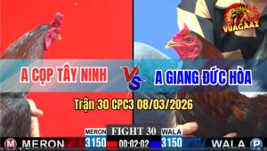 Trận 30 CPC3 8/3/2026 - Xanh Chịu Không Nổi Cứng Mình Bỏ Chạy Thoát Thân