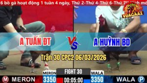 Trận 30 Bồ CPC2 6/3/2026 - Điều Đá Que Lấy Tiền Mua Xe