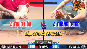 Trận 30 CPC3 03/3/2026 - Bướm Đá Bông Chân Nào Cũng Đâm Kéo Lúa Nhẹ Nhàng