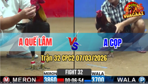 Trận 32 CPC2 7/3/2026 - Điều Quá Trâu Gồng Phút 90 Que Té Xe