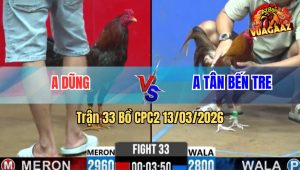 Trận 33 Bồ CPC2 13/3/2026 - Điều Đá Lên Bờ Xuống Ruộng Mới Hạ Được Khét