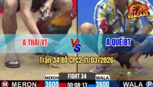 Trận 34 Bồ CPC2 11/3/2026 - Que Chà Cây Lưng Đâm Điều Ói Chết Không Kịp Sửa