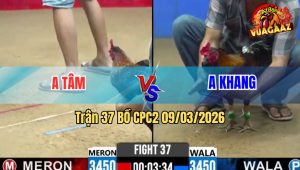 Trận 37 Bồ CPC2 9/3/2026 - Điều Nhấp Mấy Chân Que Xách Xe ĐI Cầm