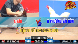 Trận 38 Bồ CPC3 10/3/2026 - Úa Đá Chân Quá Nghiệt Đâm Điều Lật Xe Hết Sửa