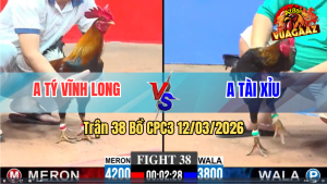 Trận 38 Bồ CPC3 12/3/2026 - Điều Dí Ăn 5 Buông Ra Xanh Đá Hư Hình Xỉu Tại Chỗ