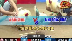 Trận 39 Bồ CPC2 13/3/2026 - Anh Nu Phục Thù Anh Bảo Sting Thành Công