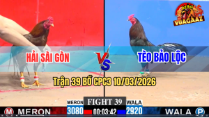Trận 39 Bồ CPC3 10/3/2026 - Khét Đá Tốc Độ Buông Ra Điều Cứng Mình Xỉu