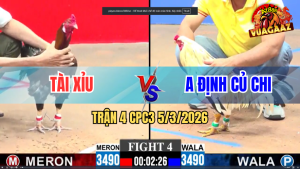 Trận 4 Bồ CPC3 5/3/2026 - Điều Điềm Tĩnh Đá Bướm Lọt Xỉu Tuyệt Đối