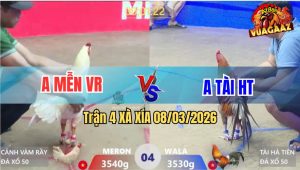 Trận 4 Bồ Xà Xía 8/3/2026 - Xanh Dở Giò Là Đâm Anh Mễn Hết Phép